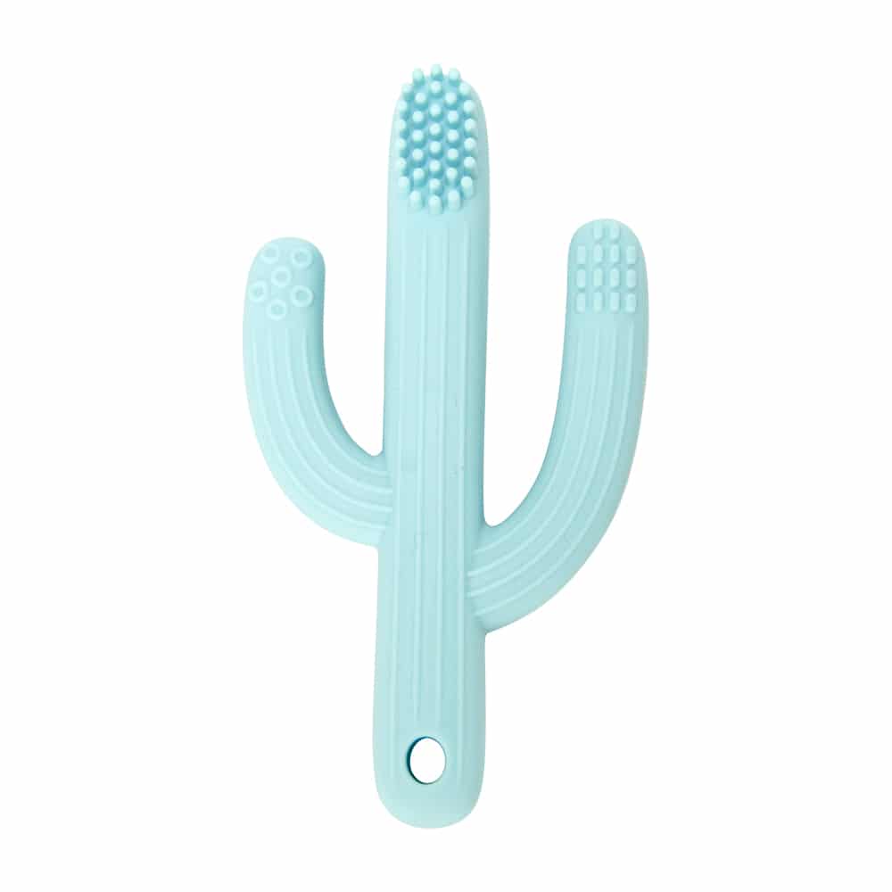 Cactus teether