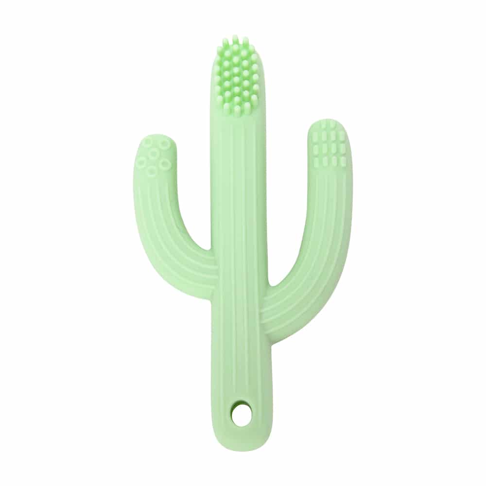 Cactus teether