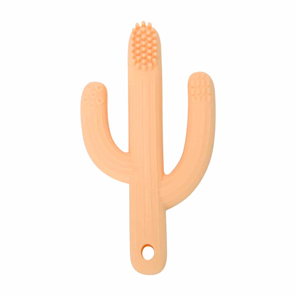Cactus teether