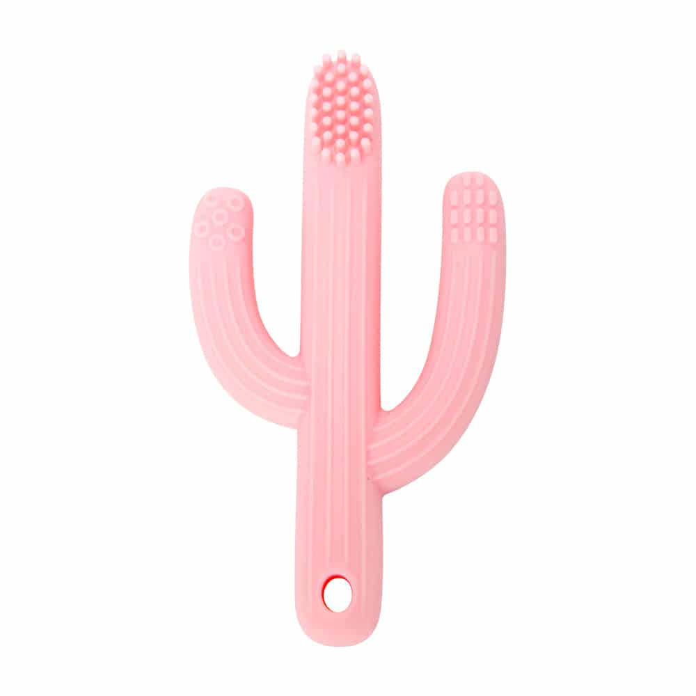 Cactus teether