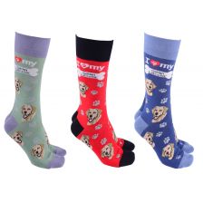 Dog Society - Golden Labrador print socks