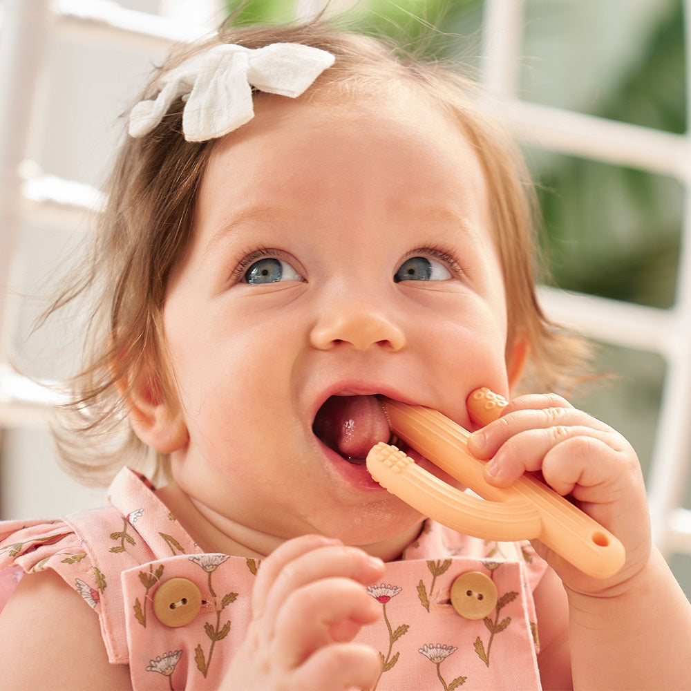 Cactus teether