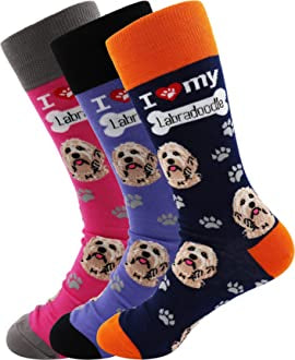 Dog Society - Golden Labrador print socks