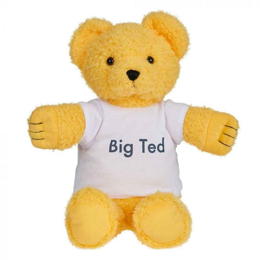 Play School Plush - Big Ted